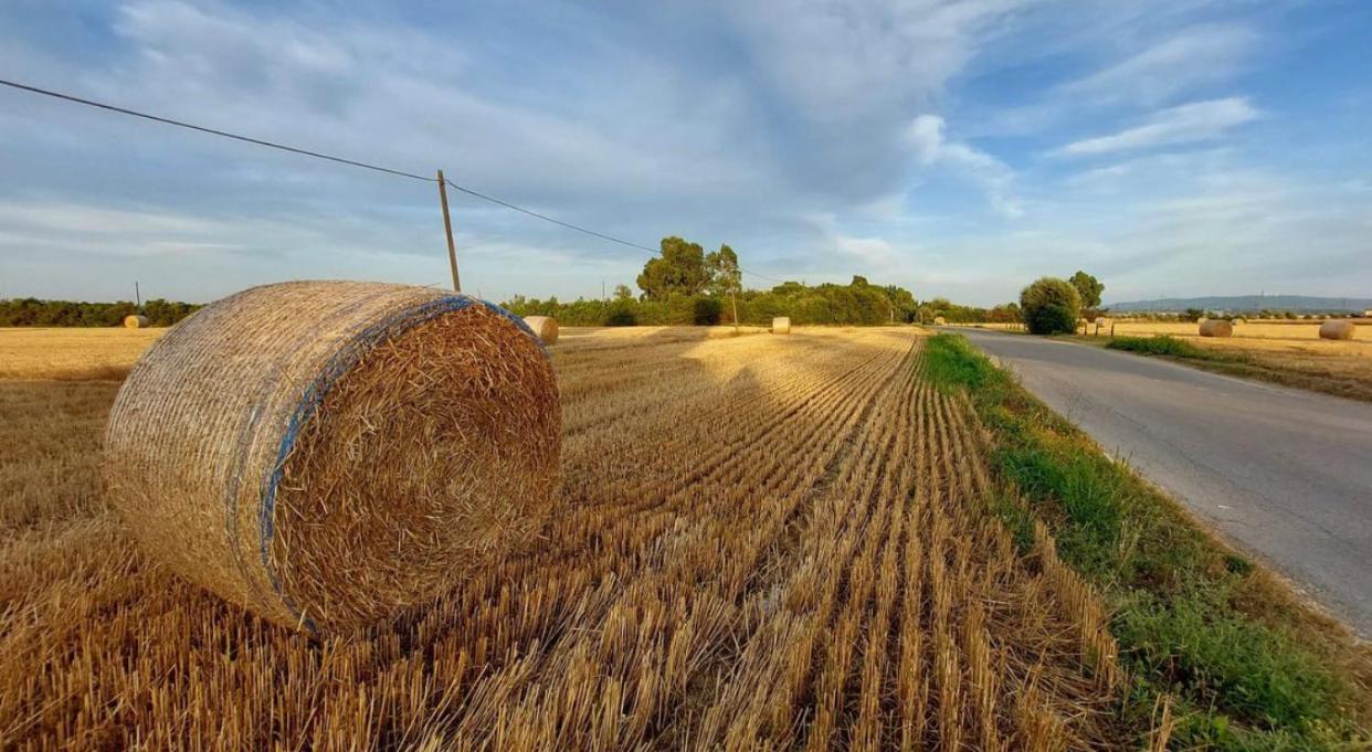 Il Cantuccio Cascina Eksteriør bilde