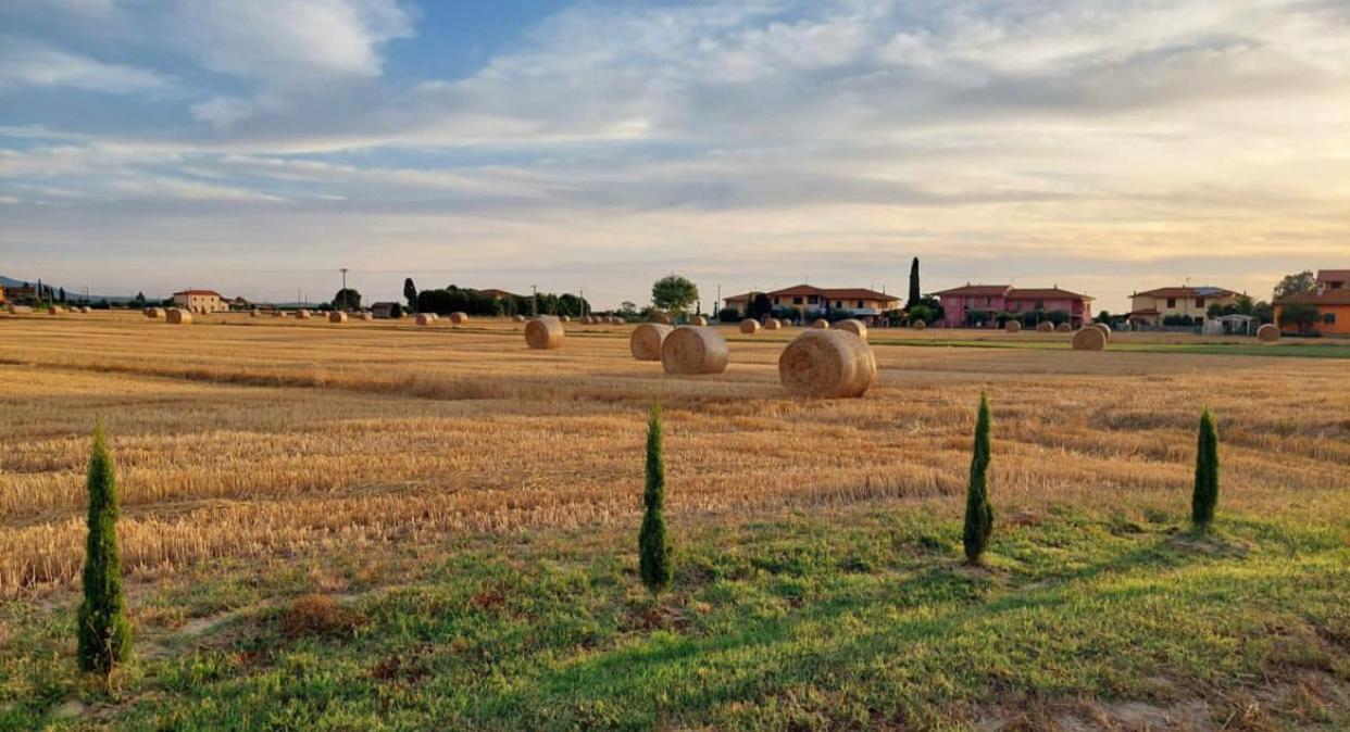 Il Cantuccio Cascina Eksteriør bilde