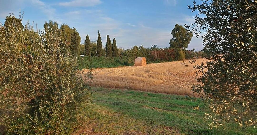 Il Cantuccio Cascina Eksteriør bilde